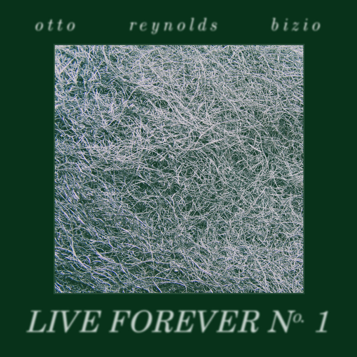 Live Forever No. 1